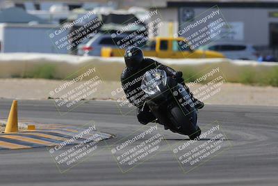 media/Mar-12-2023-SoCal Trackdays (Sun) [[d4c8249724]]/Turn 2 (1130am)/